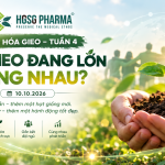 Hạt Gieo Đang Lớn Cùng Nhau: Khi Những Điều Nhỏ Bé Tạo Nên Giá Trị Lớn Lao